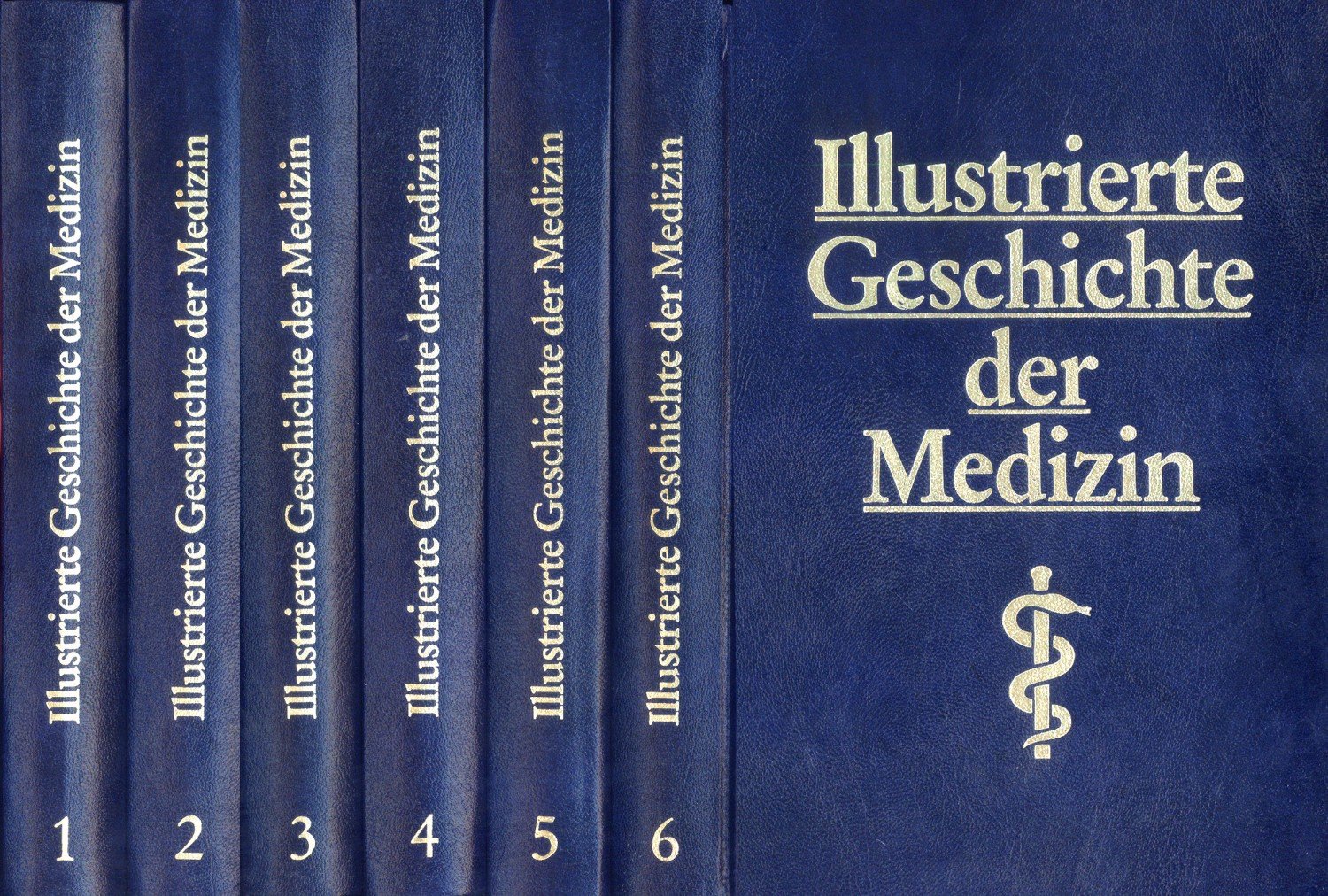 Geschichte der medizin masterarbeit supply chain management